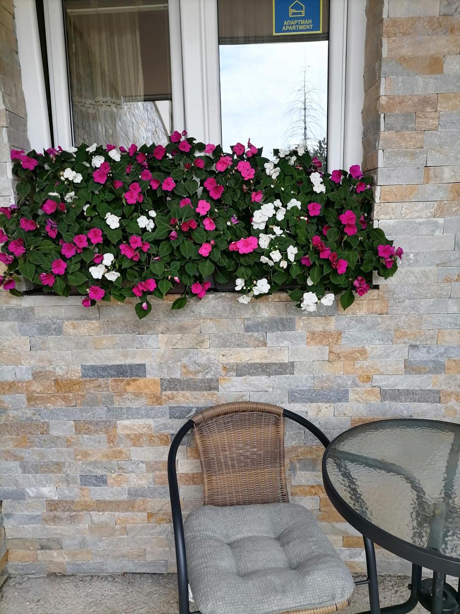 Villa Bozovic Zlatibor Exterior foto